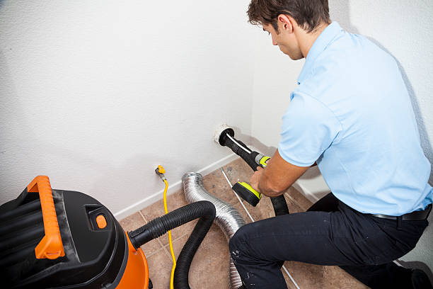 dryer vent cleaners